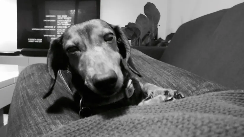 Andachtsbild von Kumar Krishnamurthy