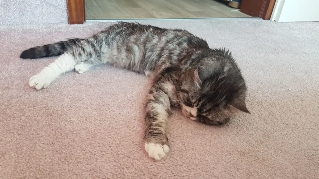 Condolence image of Lias