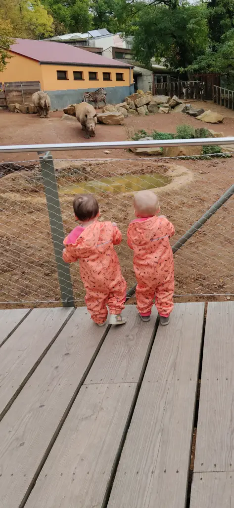 Condolence image of Nicole