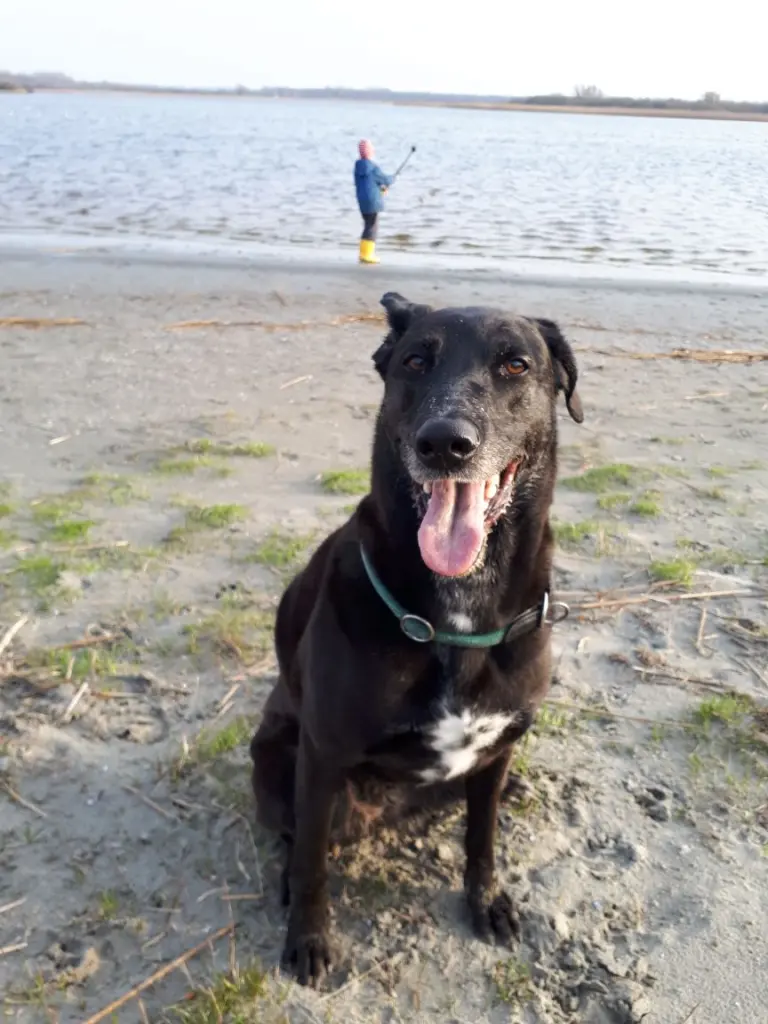 Condolence image of Rudolf Damm