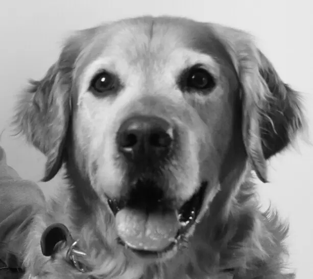 Condolence image of Micha mit Cäsar im Herzen