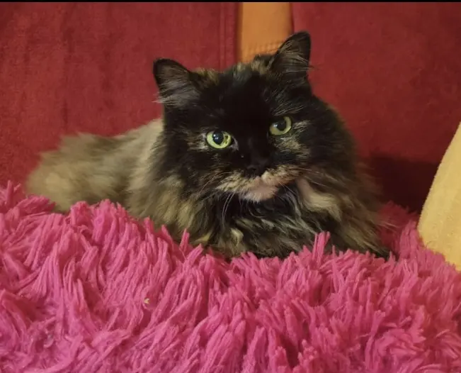 Andachtsbild von Michaela Wartner