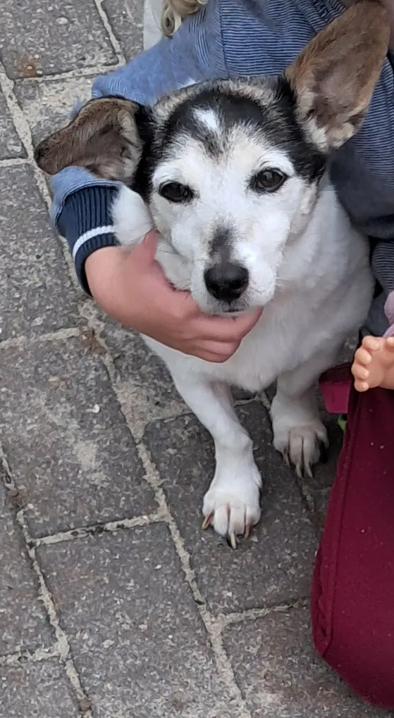 3 Monate vor ihrer letzten Reise.