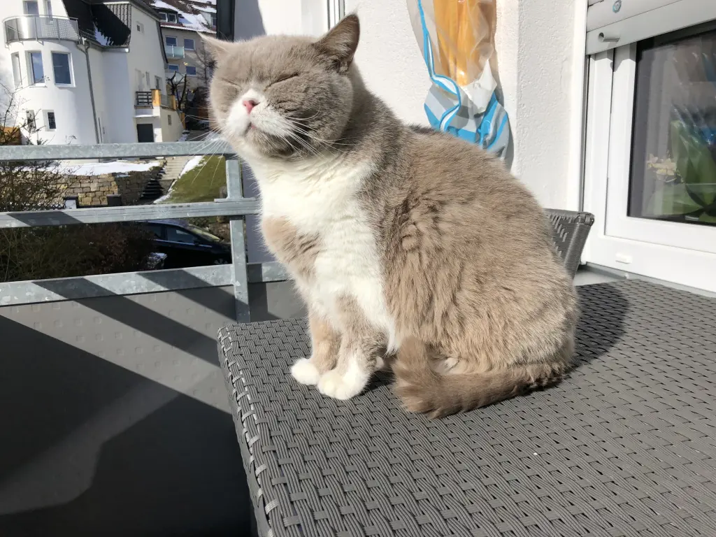 Condolence image of Michael