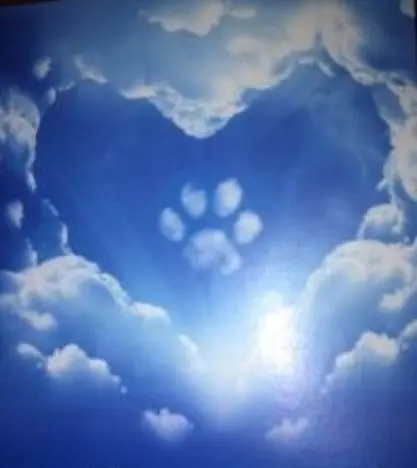 Condolence image of Marion mit Schnurri im Herzen