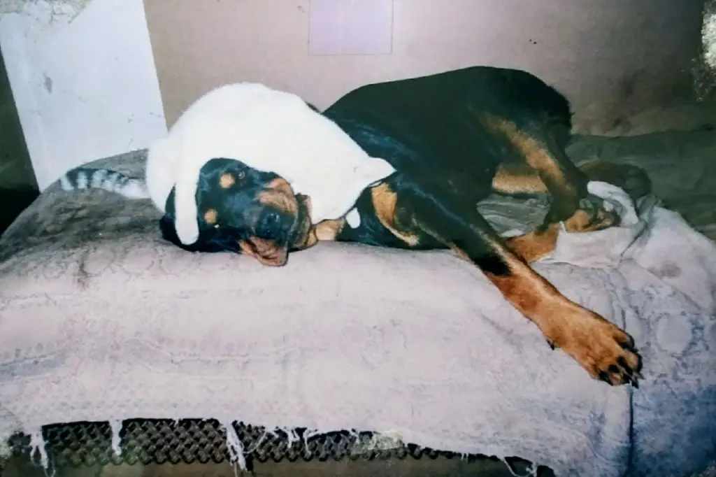 Condolence image of Nadja