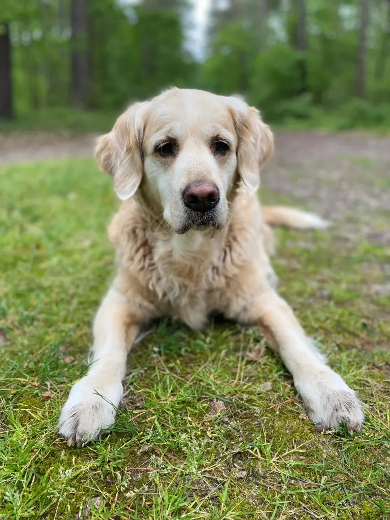 14 Jahre alt