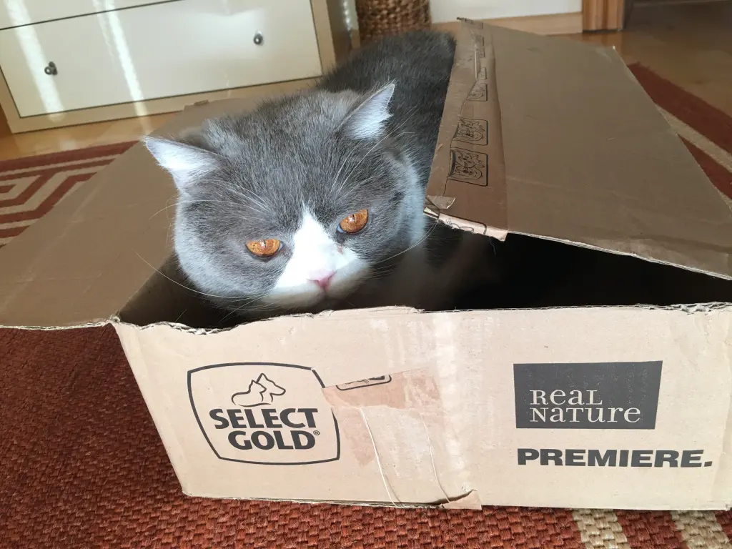 Andachtsbild von Britta Lachmund