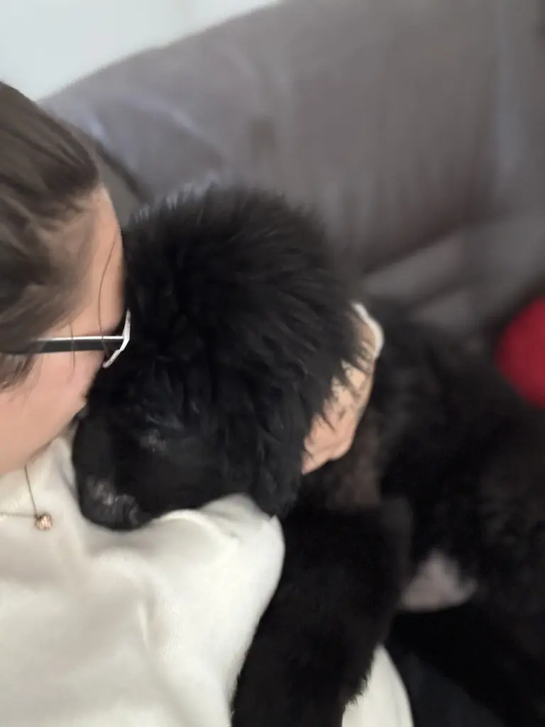 Andachtsbild von Monja Stein