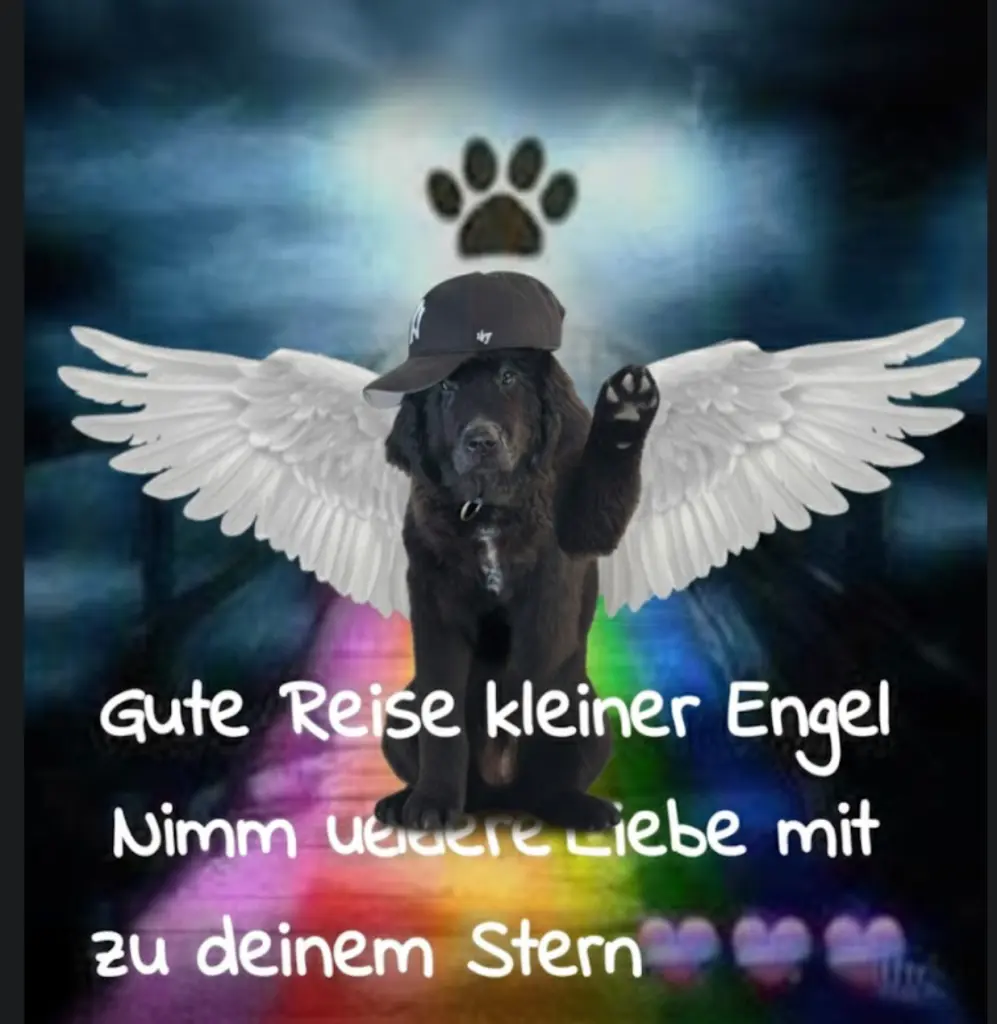 Andachtsbild von Rebekka Greschke