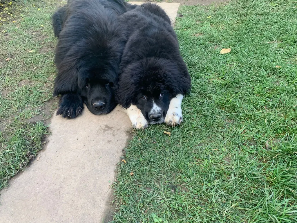 Andachtsbild von Moritz Brix