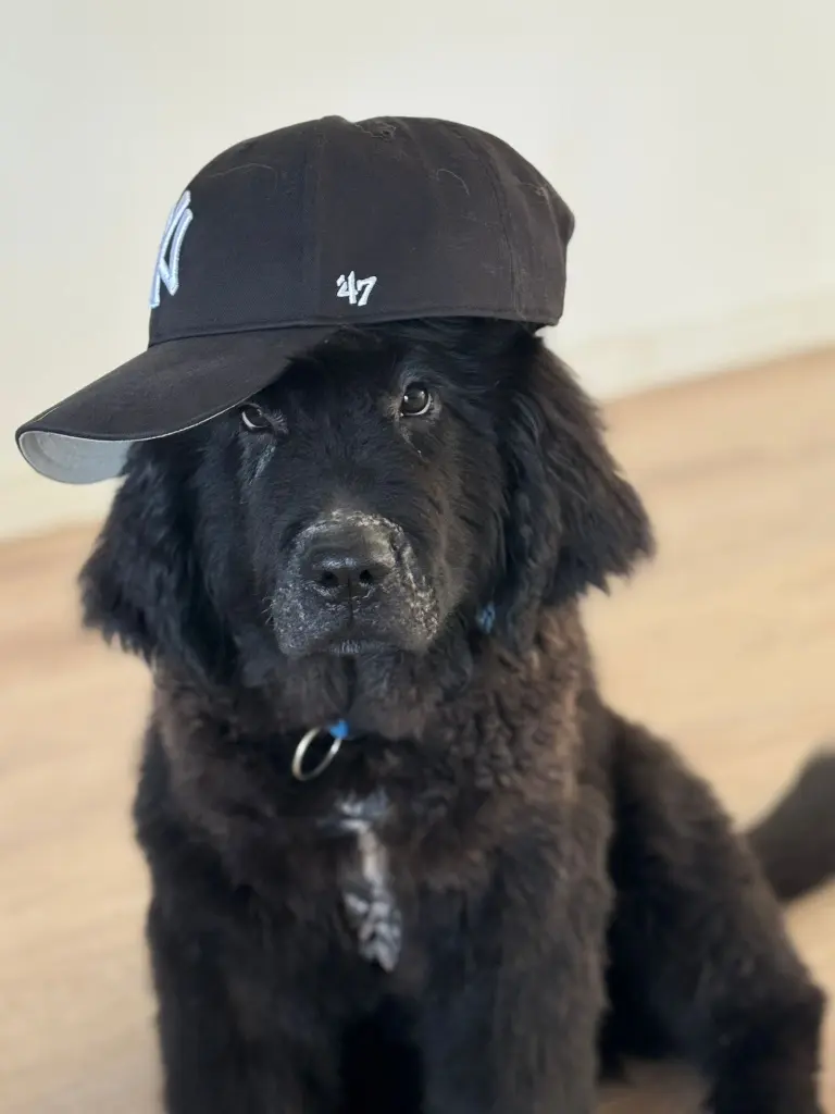 Andachtsbild von Heike mit Emba