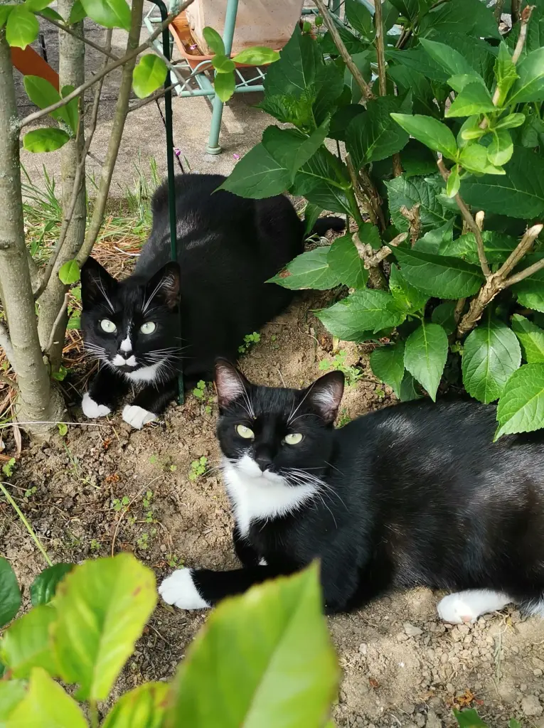 Dein Bruder vermisst dich!