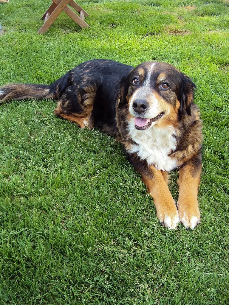 Image from Dina und Alice