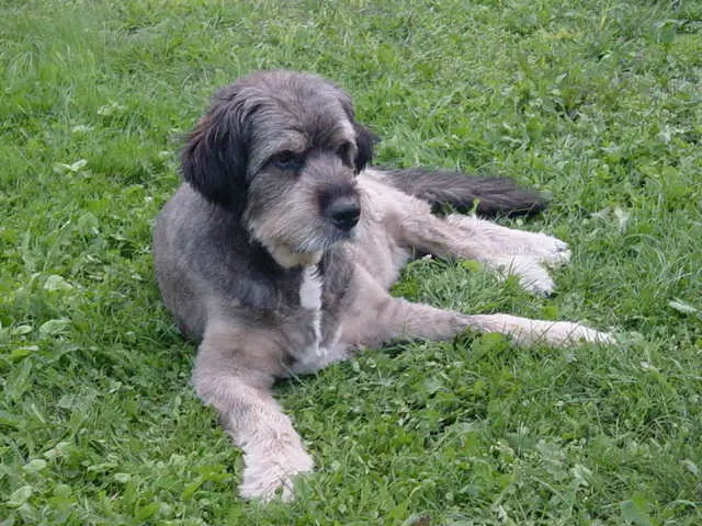 Image from Dina und Alice