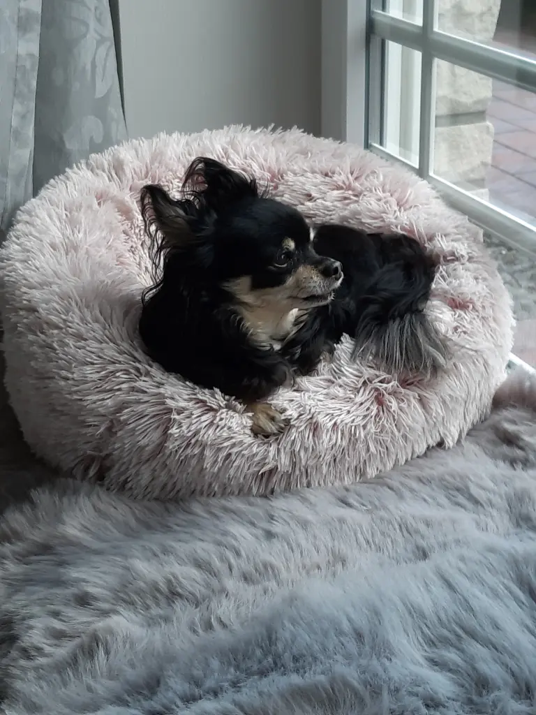 Andachtsbild von Carmen