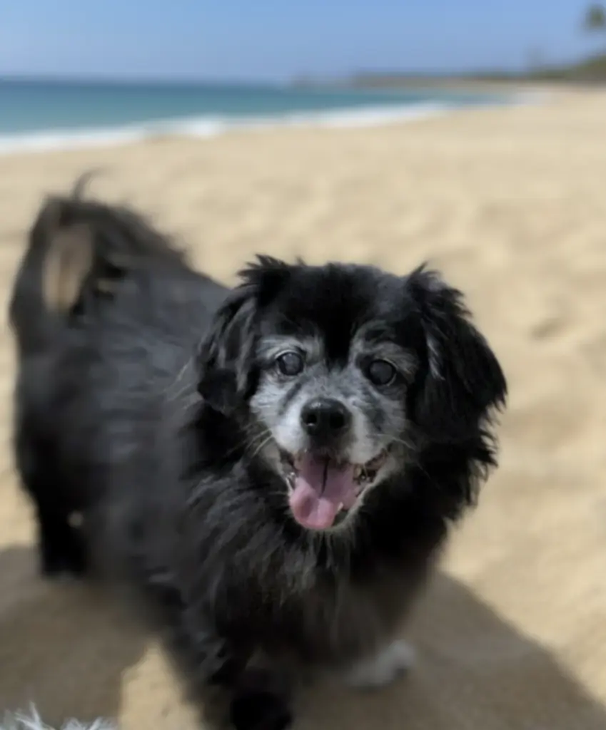 Andachtsbild von Anja Valentin