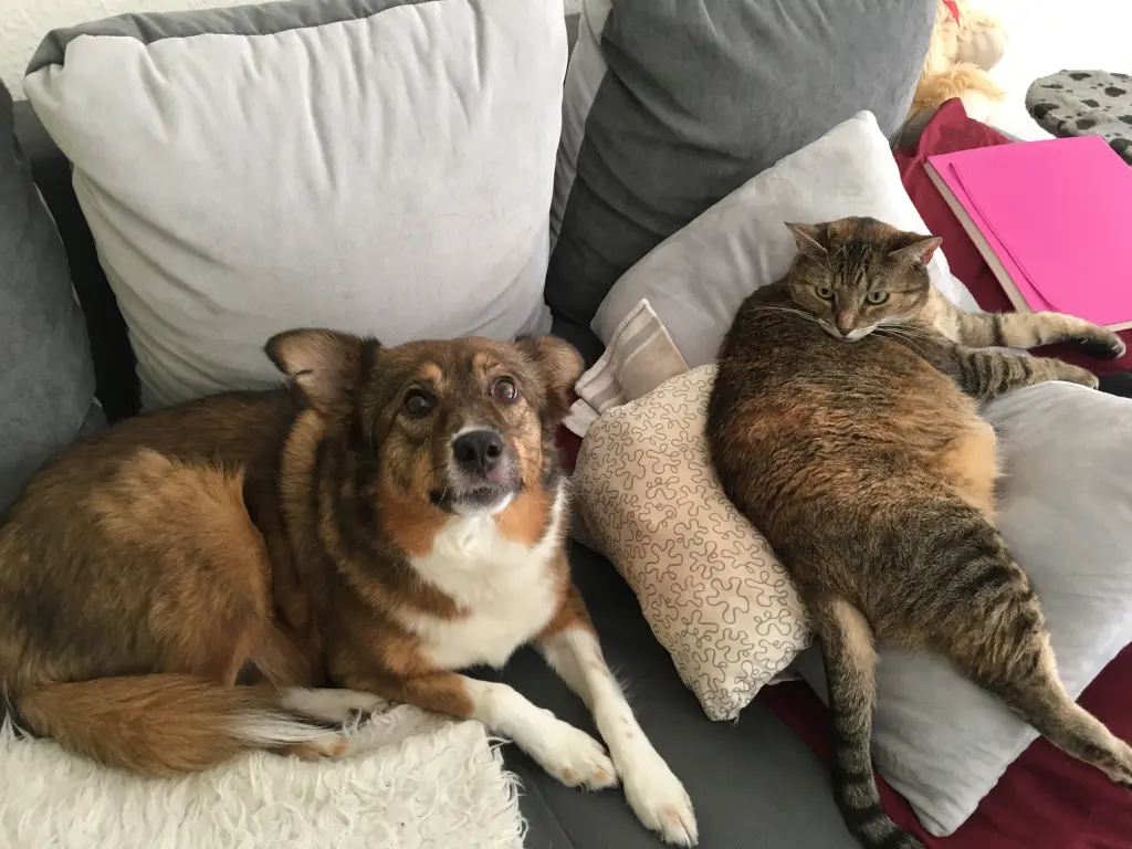 Andachtsbild von Sarah Goldammer