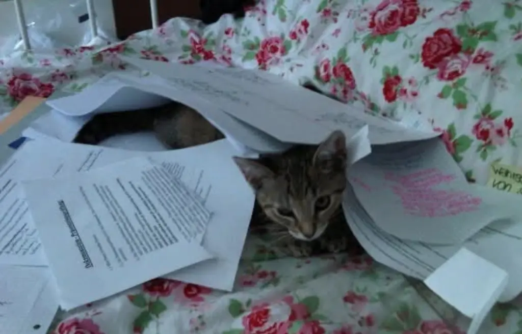 Andachtsbild von Christiane Goldammer