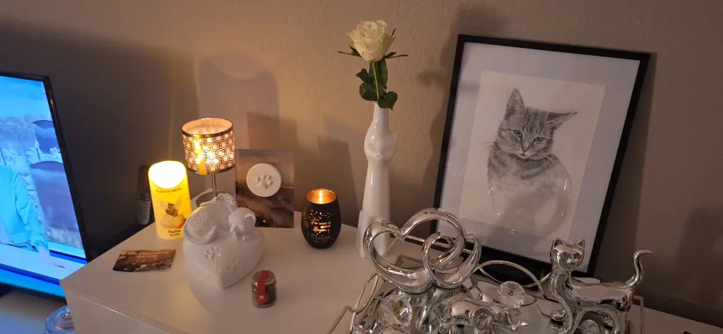 Du bist wieder zu Hause