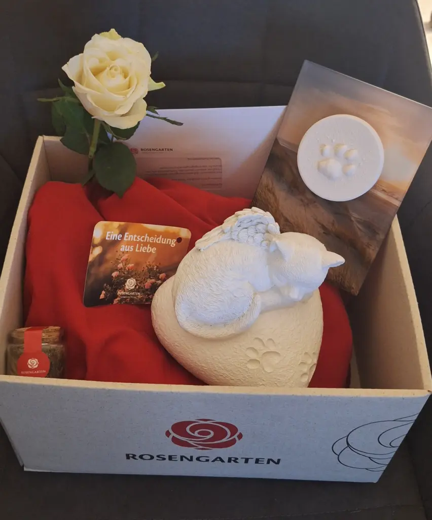 Danke, Rosengarten ❣️
Danke Melissa List ❣️⚘️