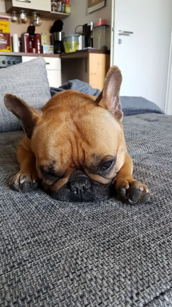 Image from Lenny