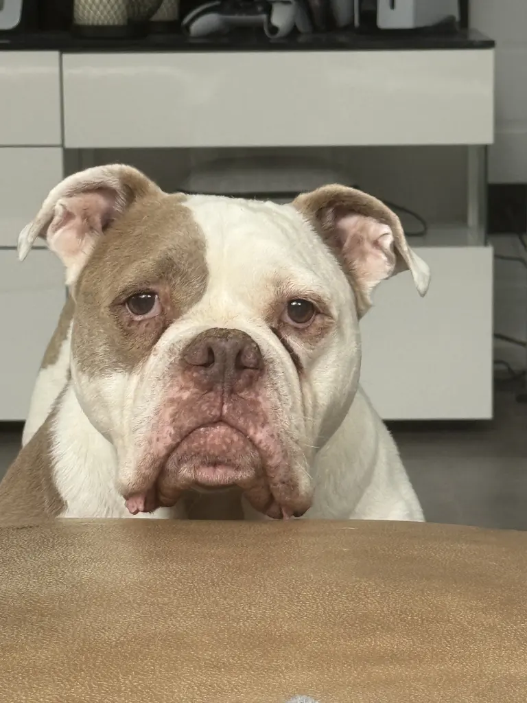 Andachtsbild von Nadine Harmjanßen