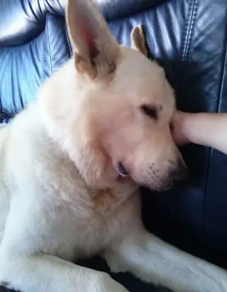Kuschelstunde