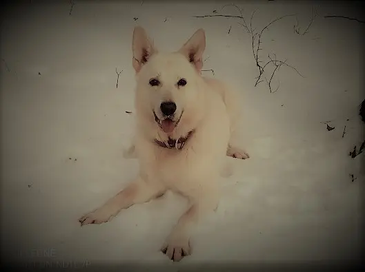 Spaß im Schnee