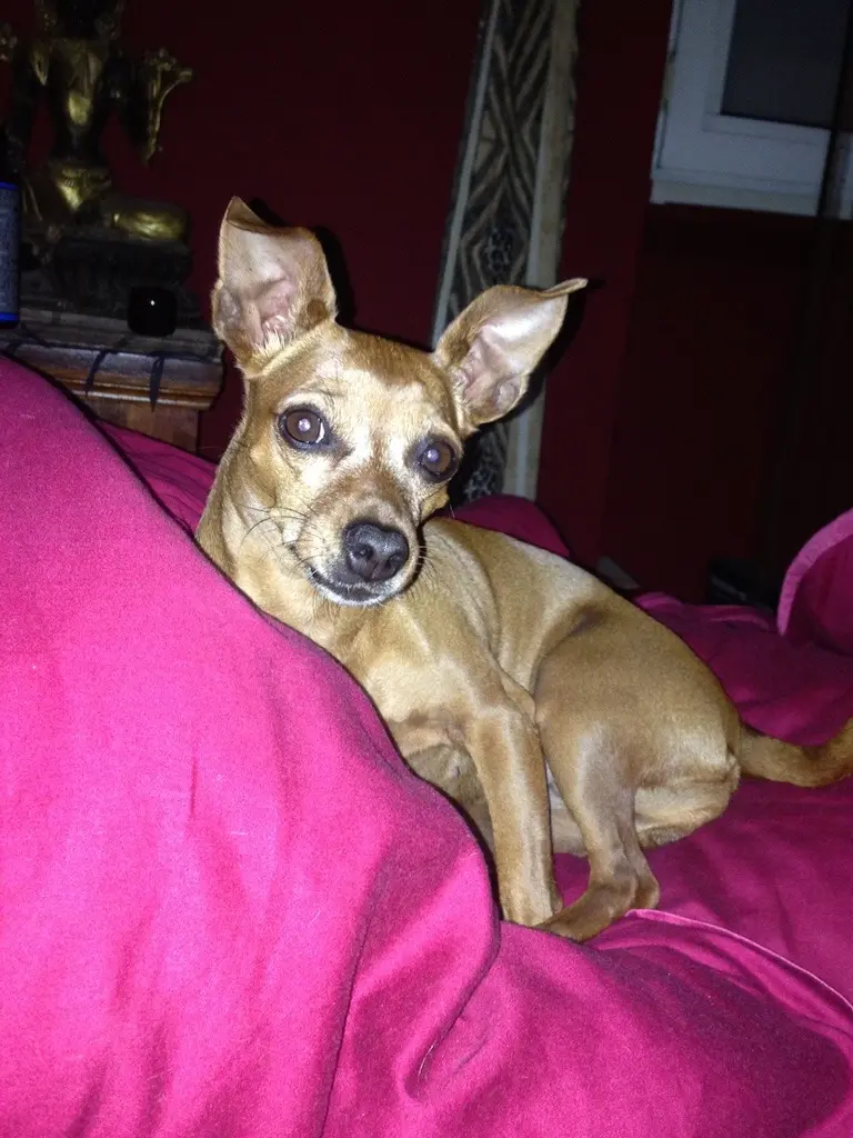 Image from Cindy