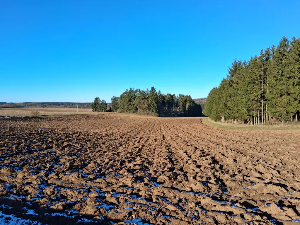 Condolence image of Erika Cremer