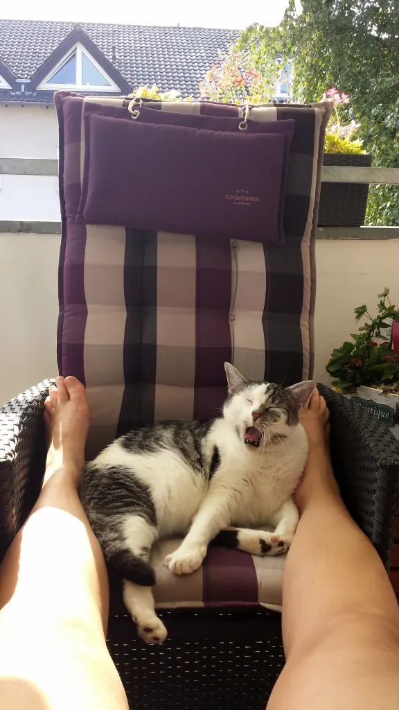 Der Lieblingsplatz sobald die Temperatur stimmte.