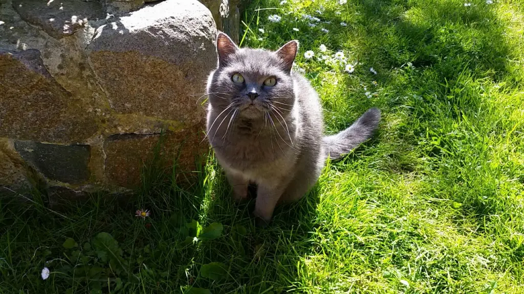 Andachtsbild von Anke & Mario Selno