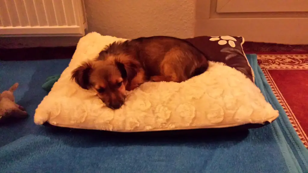 Andachtsbild von Nelio Richter