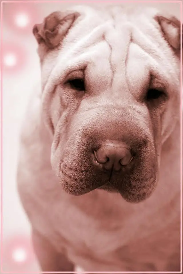 Image from Bailey Rose