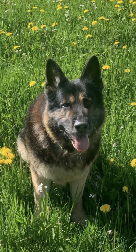 Condolence image of Jutta