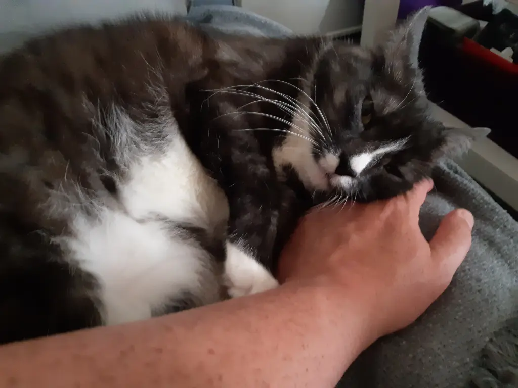 Andachtsbild von Oliver Schwarz