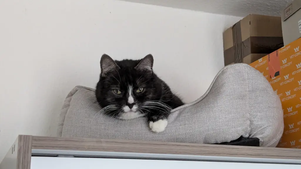 Andachtsbild von Oliver Schwarz