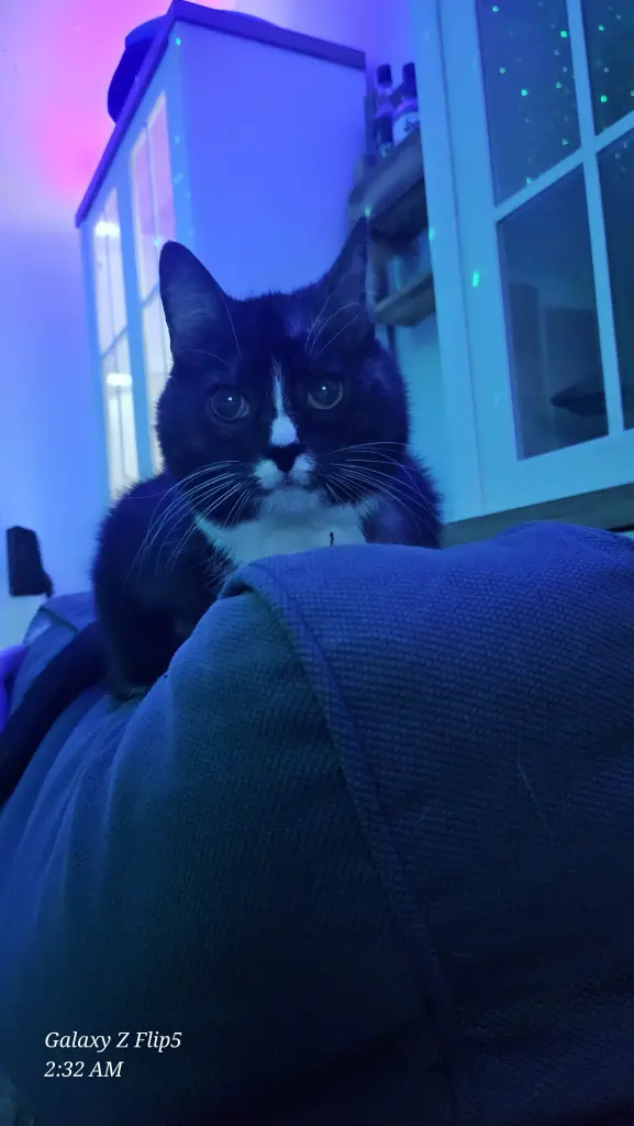 Andachtsbild von Niki Mama von lino mit lola ❤️ Arndt