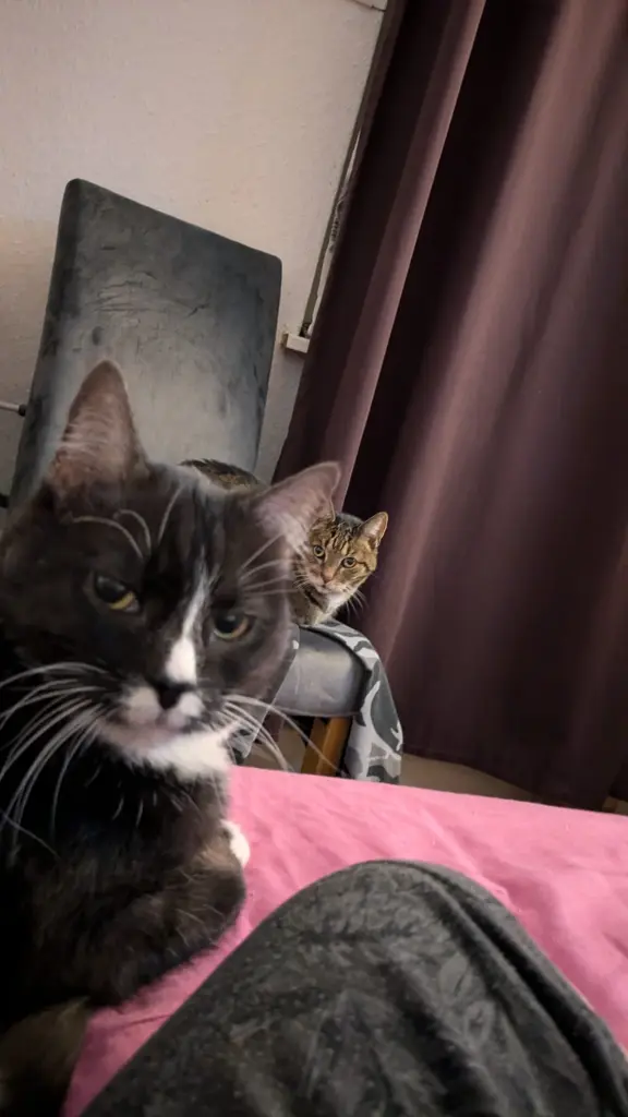 Andachtsbild von Oliver Schwarz