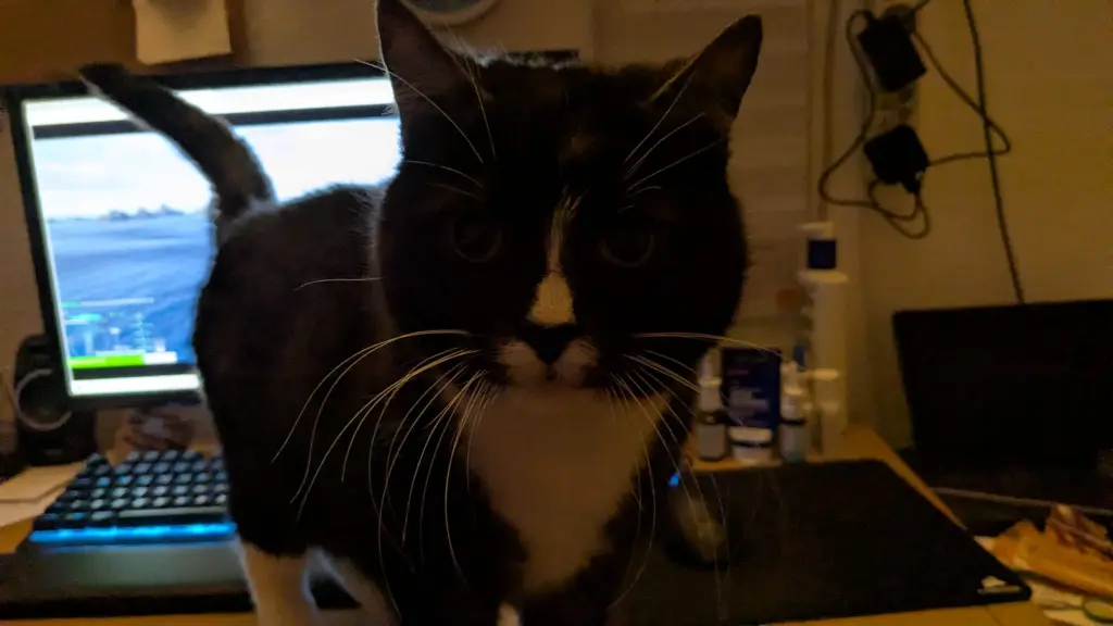 Andachtsbild von Niki Mama von lino mit lola❤️❤️❤️ Arndt