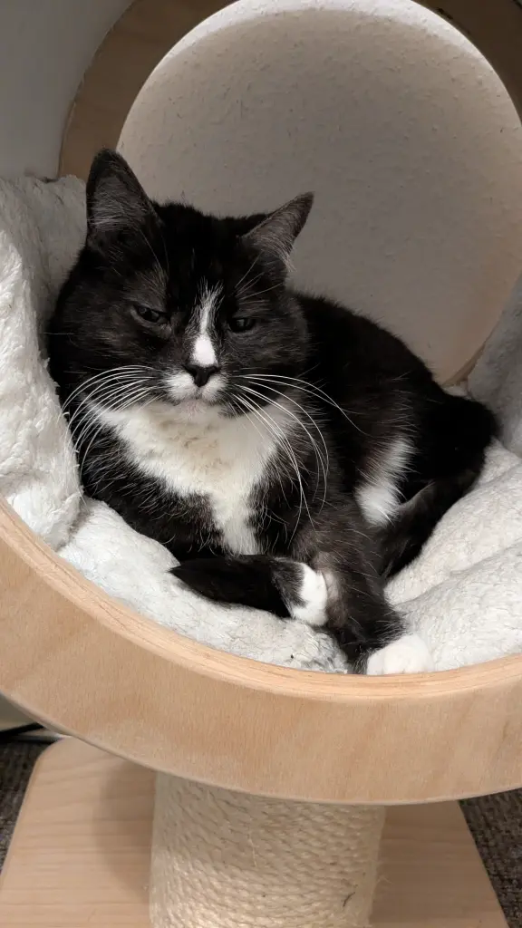 Andachtsbild von Oliver Schwarz