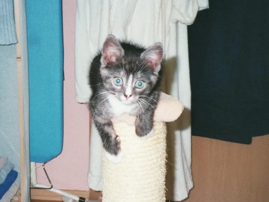 so klein warst Du als ich Dich bekommen habe