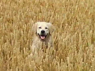 Andachtsbild von Andy ❤️ und Piet ❤️❤️