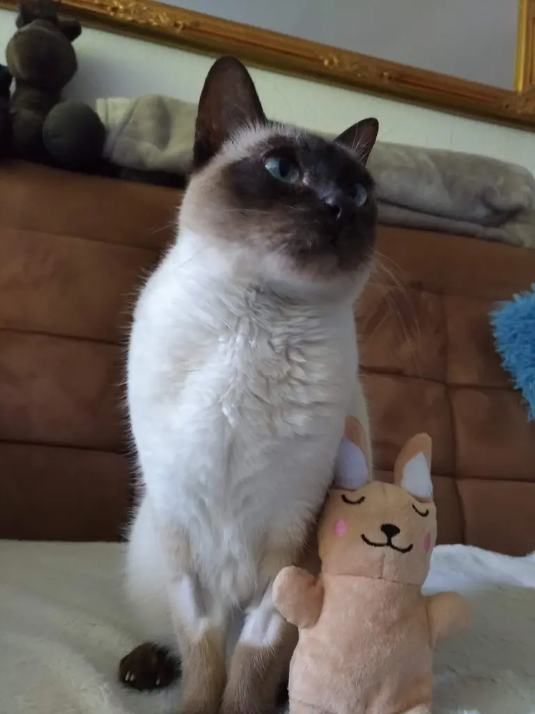 Andachtsbild von Eveline und Andreas Hertenstein