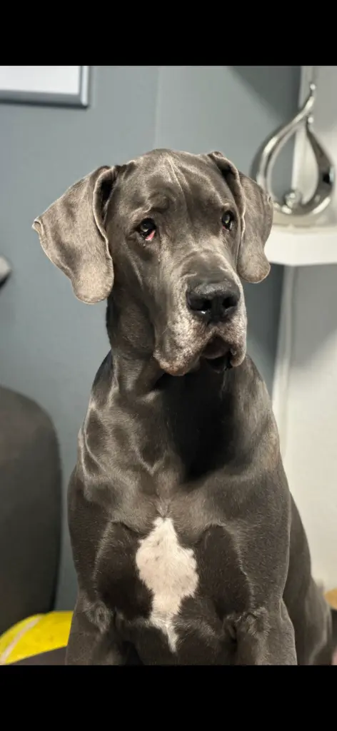 Andachtsbild von Marina & Kai