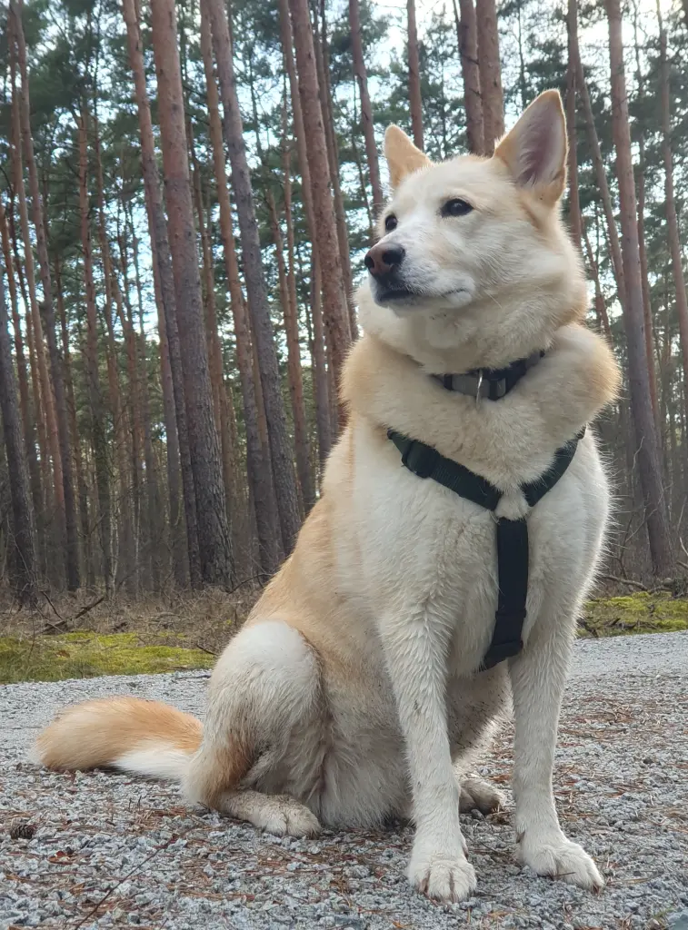 Bild von Lady
