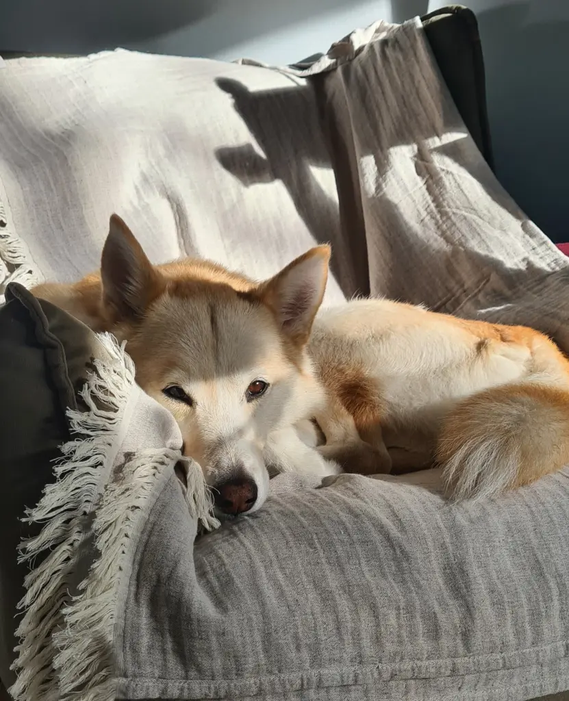 Bild von Lady