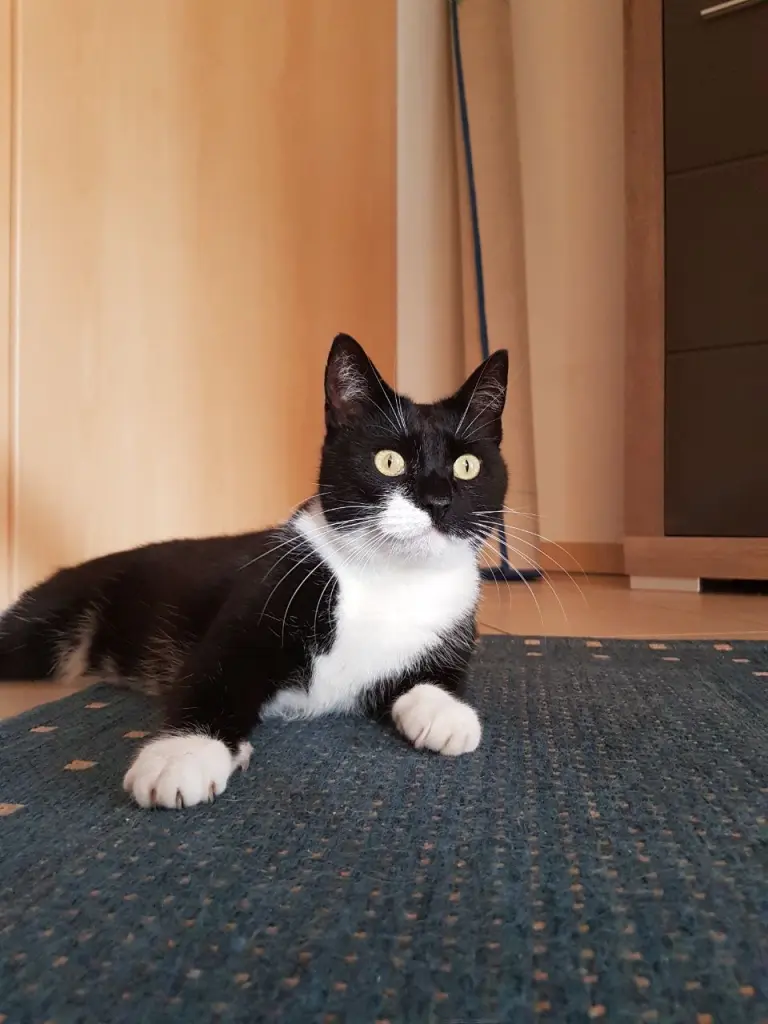 Bild von Susi