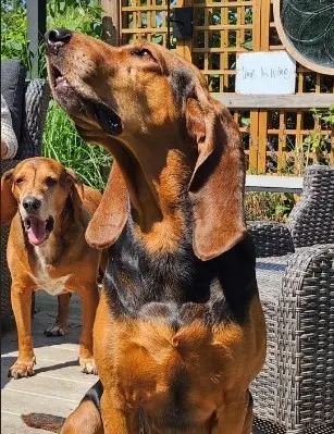 Andachtsbild von Oliver & Petra mit Malte und Divi